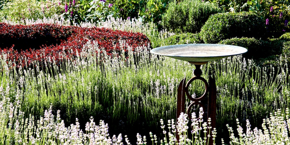 PLT Bridge Gardens 3 June Art Portfolio Contents Issue 1 